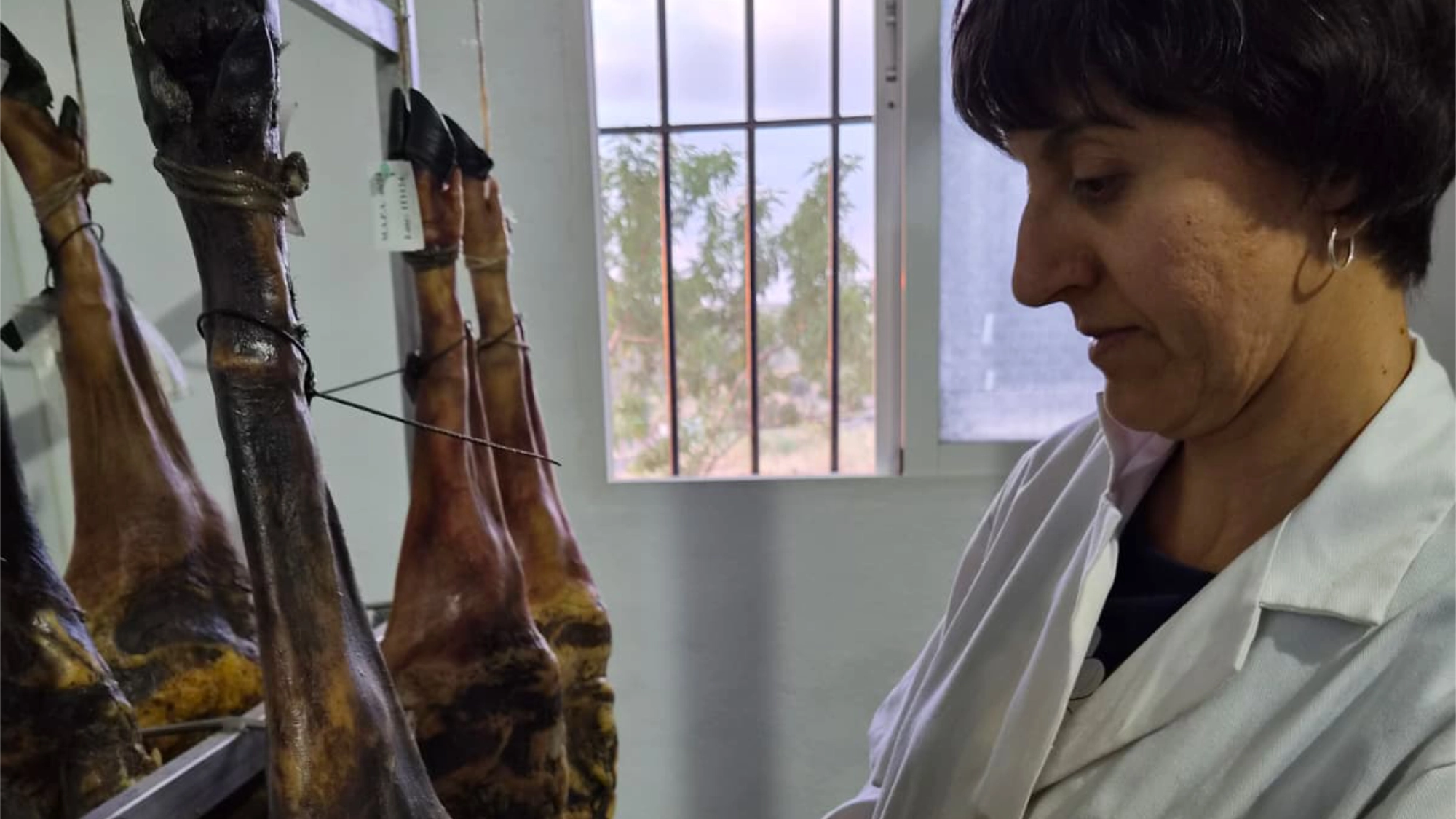 Foto de Agroibérico
