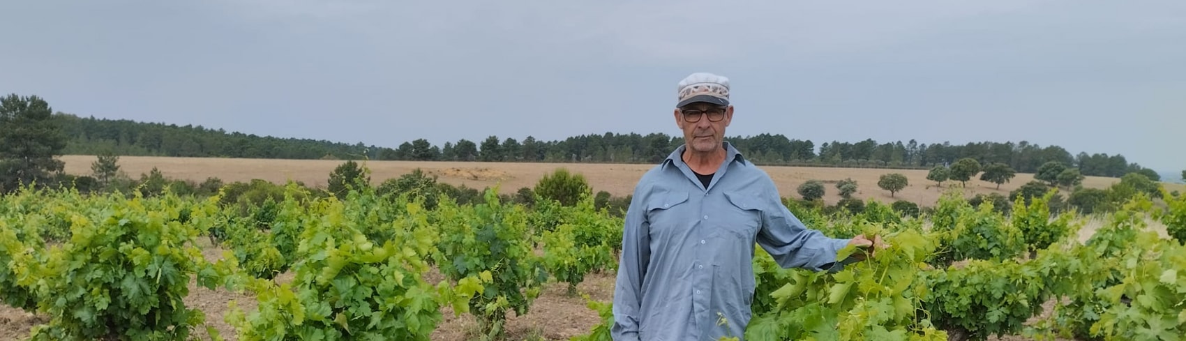 Foto de Vino Artesano Felipe Cerro