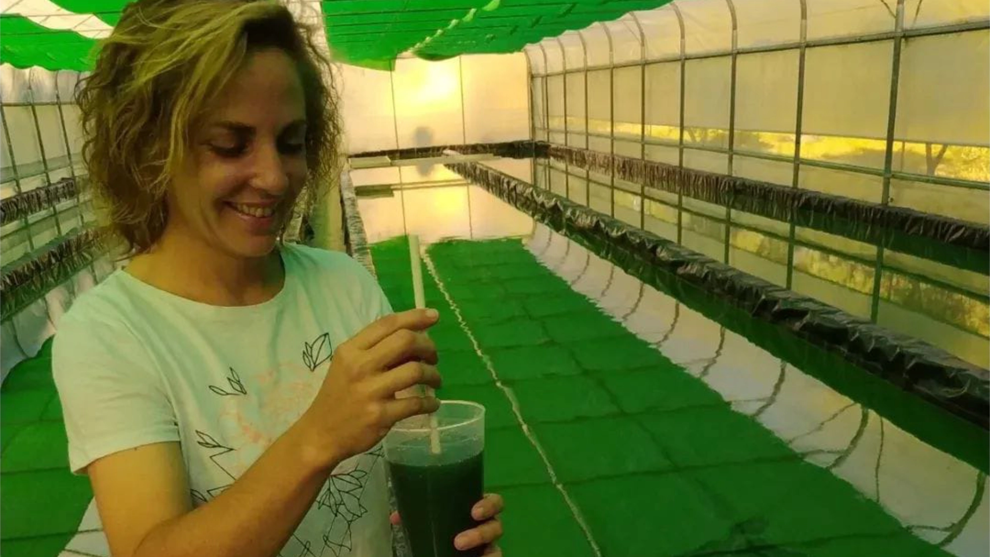 Foto de Koru Spirulina