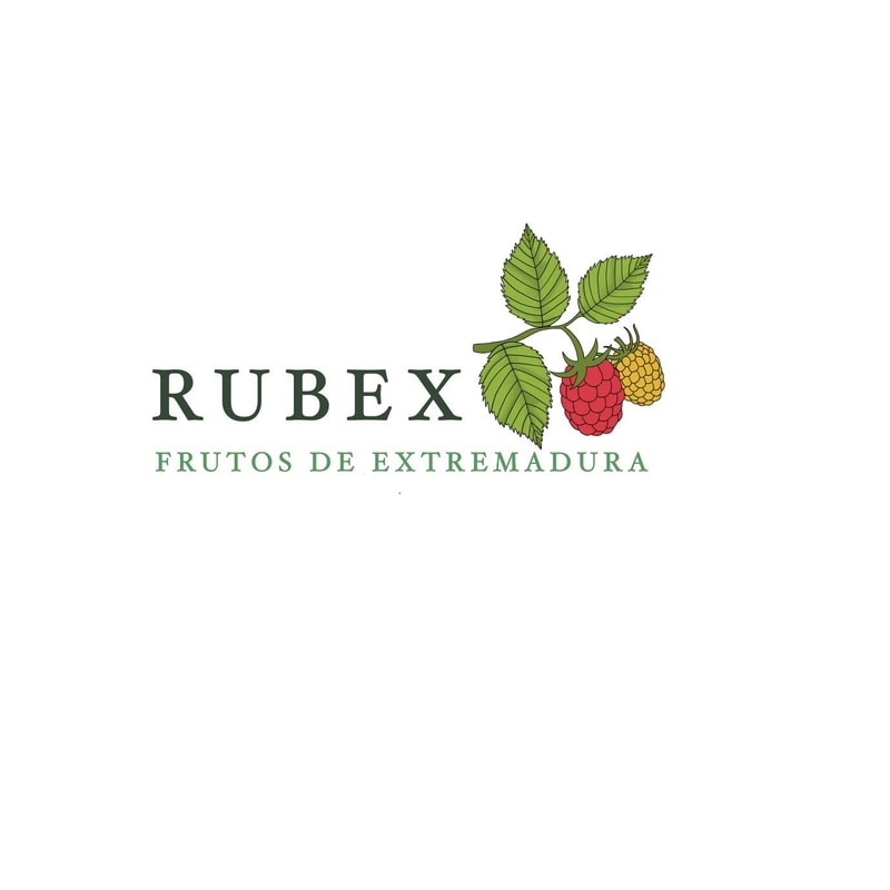 Logo de Rubex
